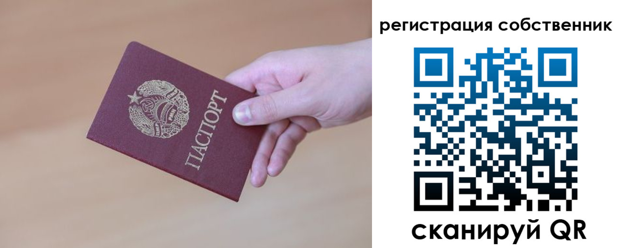 временная регистрация гарантия в Выборге